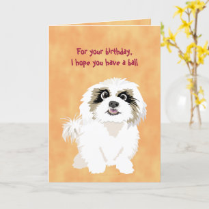 Carte Chien Chien Chien Chien Chien Chien drôle Annivers