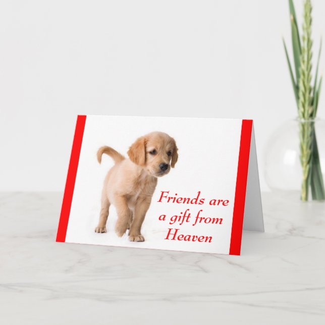 Carte Chien Chien Chien Chien Chien d'Amitié (Devant)