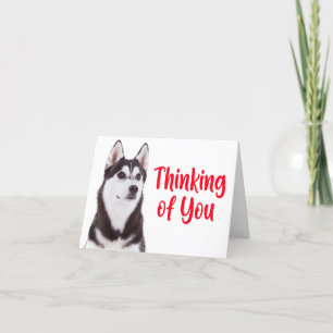 Carte  Chien Chien Chien Chien Sibérien Husky Penser à v