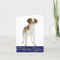 Carte Chien Chien Espagnol Merci Bretagne