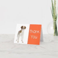 Carte Chien Chien Espagnol Merci Bretagne