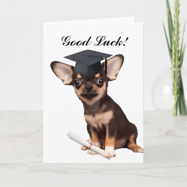 Carte Chien Chihuahua (Devant)