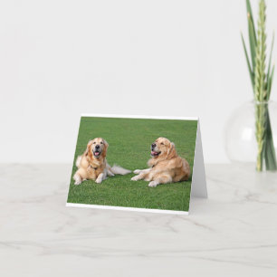 Carte Chien Chiot Retriever Doré Blank