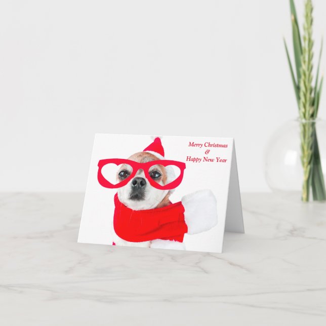 Carte Chien Chou Chihuahua Au Père Noël (Devant)
