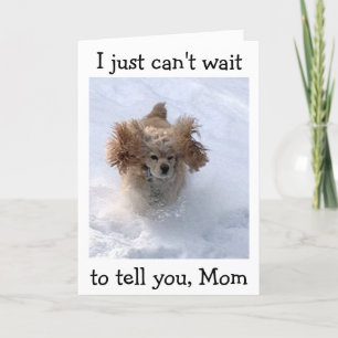 CARTE **CHIEN COMÉDIQUE DE LA NEIGE** POUR L'ANNIVERSAIR