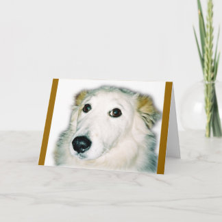 Carte chien coupable