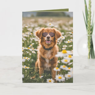 Carte Chien D'Anniversaire Avec Lunettes De Soleil Dans 