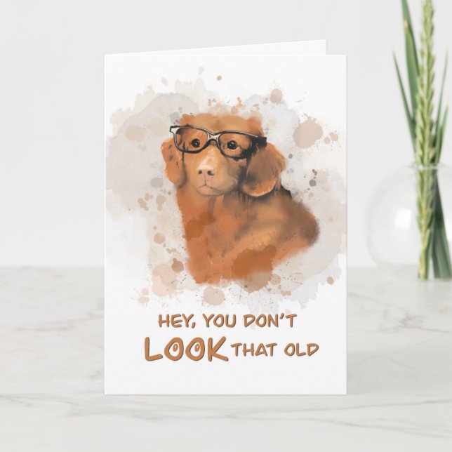 Carte Chien d'anniversaire, tu n'as pas l'air vieux (Devant)