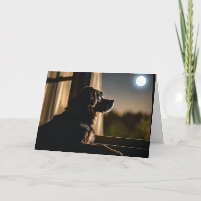 Carte Chien Dans La Fenêtre Lune Pour Perdre Les Animaux (Devant)