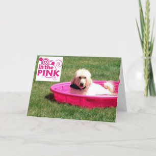 CARTE CHIEN DANS LA ROSE/DANS LA PISCINE À VOTRE ANNIVER