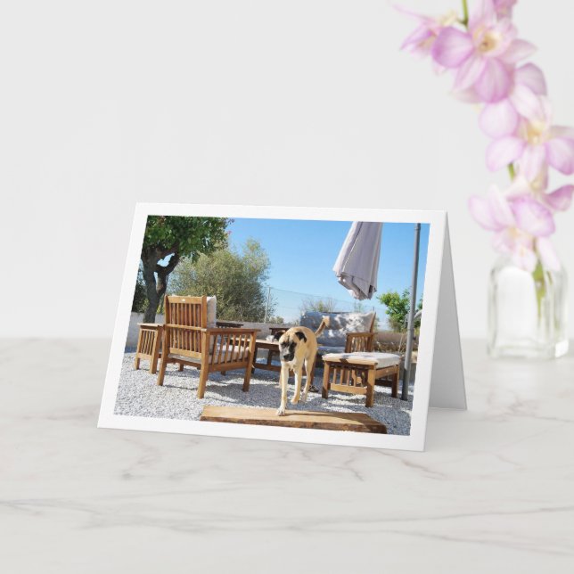 Carte Chien dans le jardin (Orchidée)