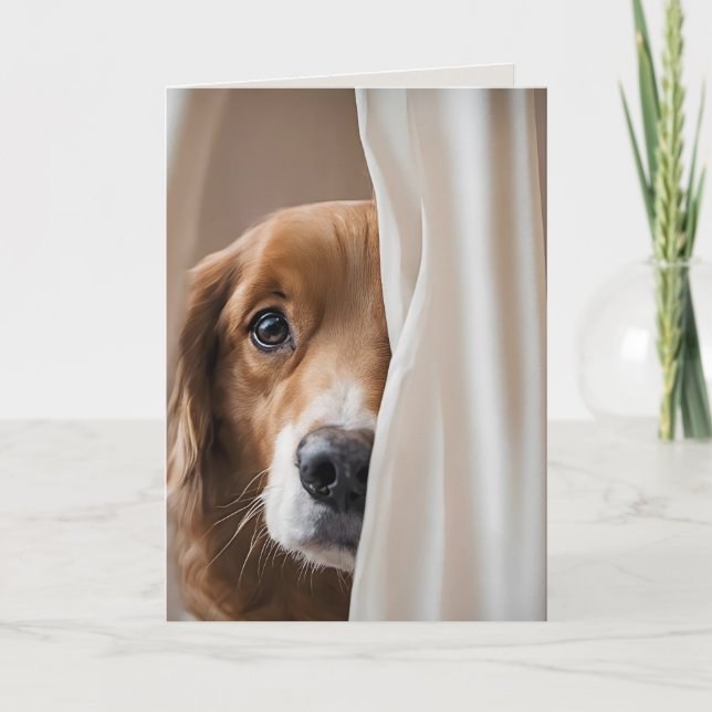 Carte Chien Dans Les Rideaux Pour Vous Manquer (Devant)
