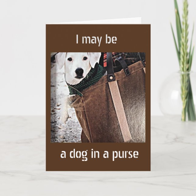 CARTE ***CHIEN DANS UN BUT DIT MERRY NOËL*** (Devant)