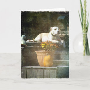 Carte Chien d'automne