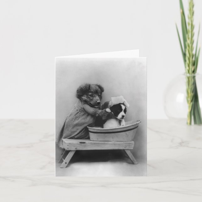 Carte Chien de bain chien (Devant)