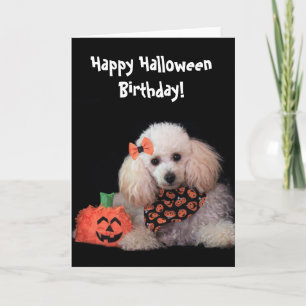 Carte chien de caniche d'anniversaire d'Halloween
