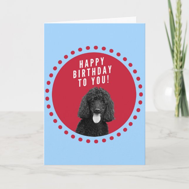 Carte Chien de caniche mignon Joyeux Anniversaire Cercle (Devant)