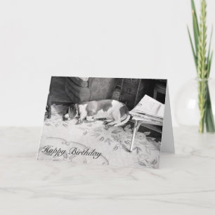 Carte Chien de chasse