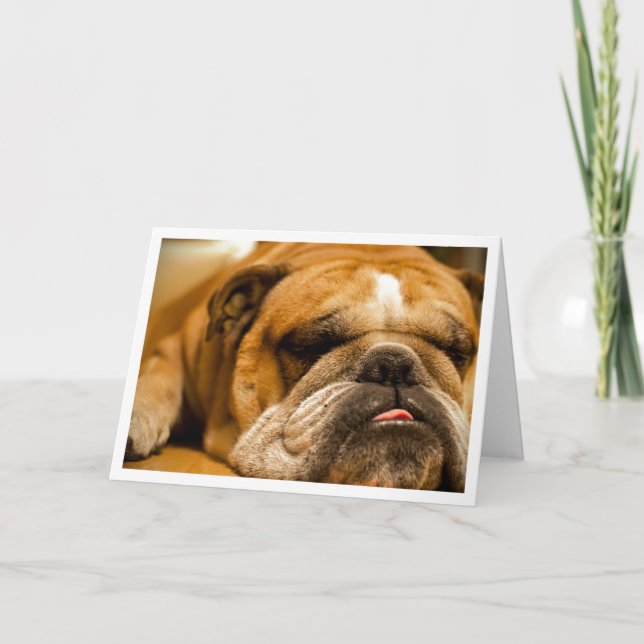 Carte Chien de Chien de Chien de Chien de Chien de Chien (Devant)