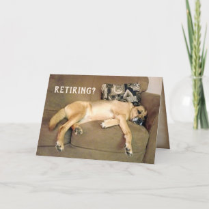 Carte Chien De La Retraite Sur Canapé