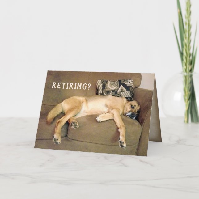 Carte Chien De La Retraite Sur Canapé (Devant)