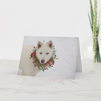 Carte Chien de Noël