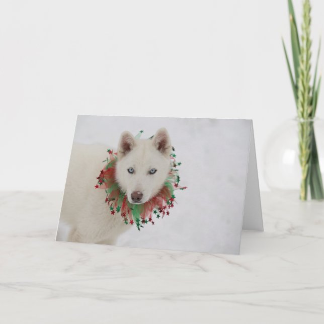 Carte Chien de Noël (Devant)