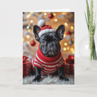 Chien de Noël Français avec chapeau de Père Noël