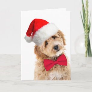 Carte Chien de père Noël Doodle