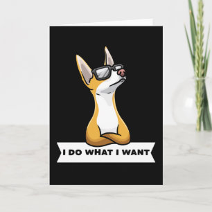 Carte Chien de Podenco têtu