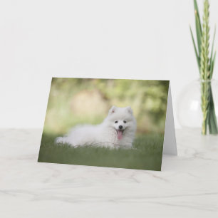 Carte Chien de Poméranie blanche Joyeux anniversaire