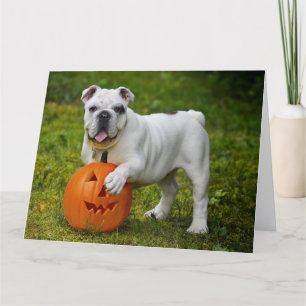 Carte Chien de taureau citrouille d'Halloween
