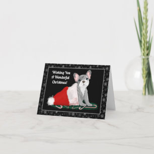 Carte Chien de taureau français en Casquette de Père Noë