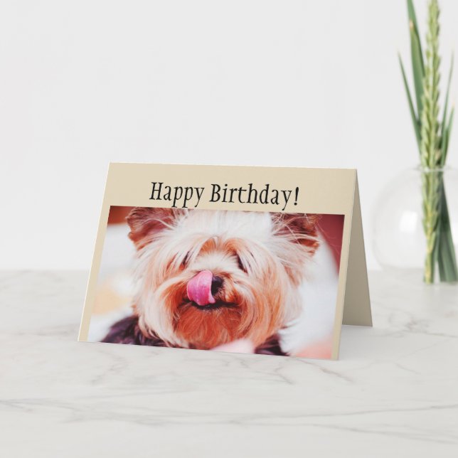 Carte Chien de Yorkie d'amusement de joyeux anniversaire (Devant)