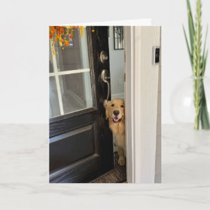 Carte Chien doré qui se réveille en souriant et qui rega