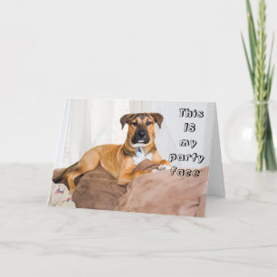 Carte Chien drôle C'est mon visage fête Anniversaire