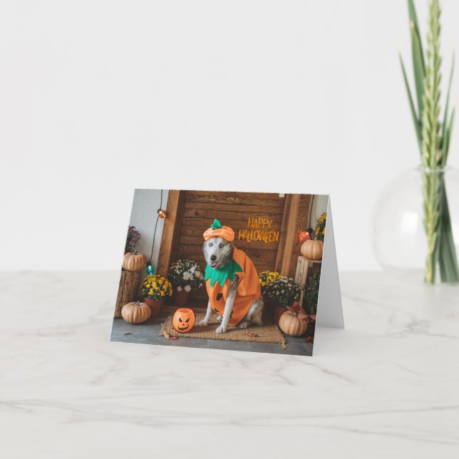 Carte Chien drôle dans le costume d'Halloween (Devant)
