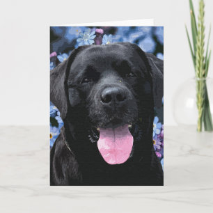 Carte Chien du Labrador Retriever