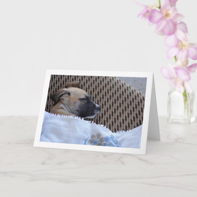 Carte Chien en Couverture (Orchidée)