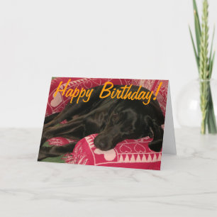 Carte Chien endormi "Fête jusqu'à ce que vous soyez POOP