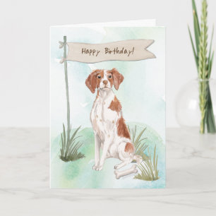 Carte Chien Épagneul Breton sous un panneau d'anniversai
