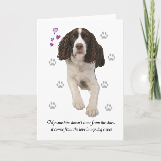 Carte Chien espagnol Springer anglais (Devant)