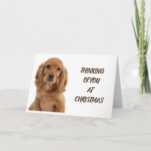 CARTE CHIEN GROOMER, VÉTÉRINAIRE ET CHIEN MARCHER