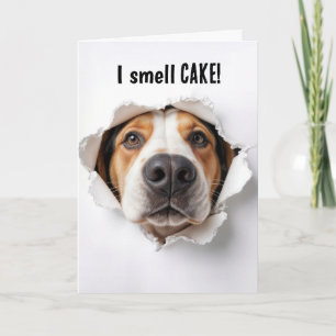 Carte Chien Hound Anniversaire Dans Trou De Papier