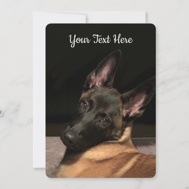 Carte Chien malinois (Devant)