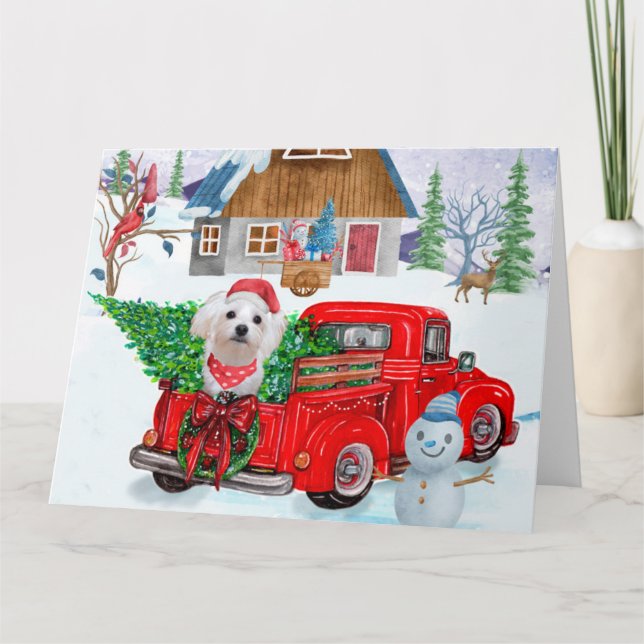 Carte Chien maltais dans un camion de livraison de Noël  (Devant)