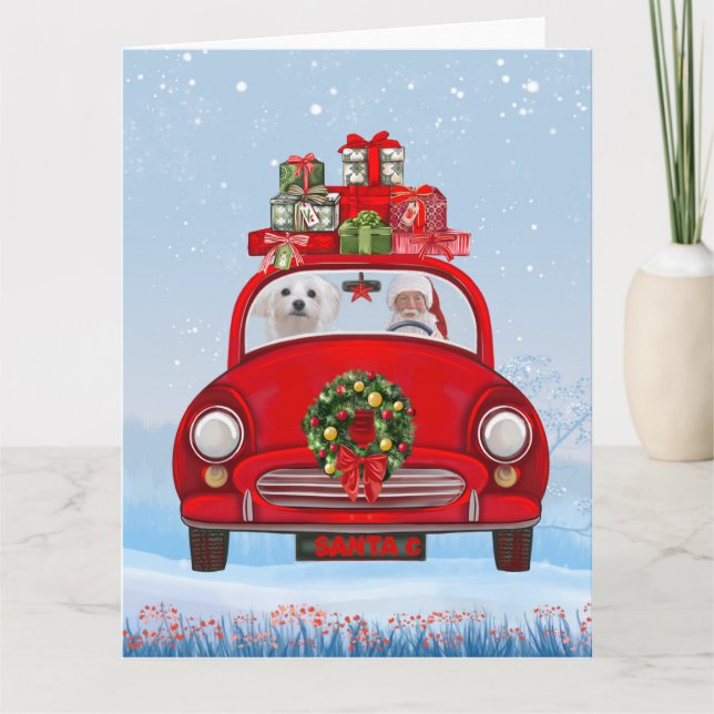 Carte Chien maltais dans une voiture avec le Père Noël  (Devant)