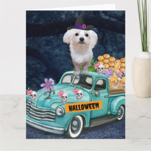 Carte Chien maltais Halloween Camion Effrayant nuit
