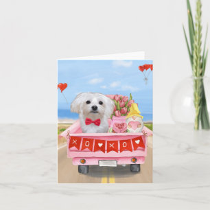 Carte Chien maltais Saint Valentin Camion