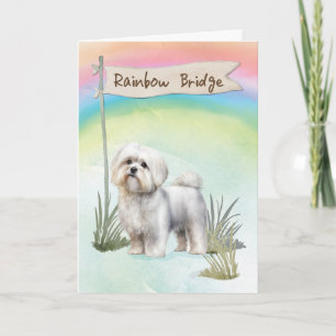 Carte Chien Maltais Sympathie pour l'animal au-dessus du